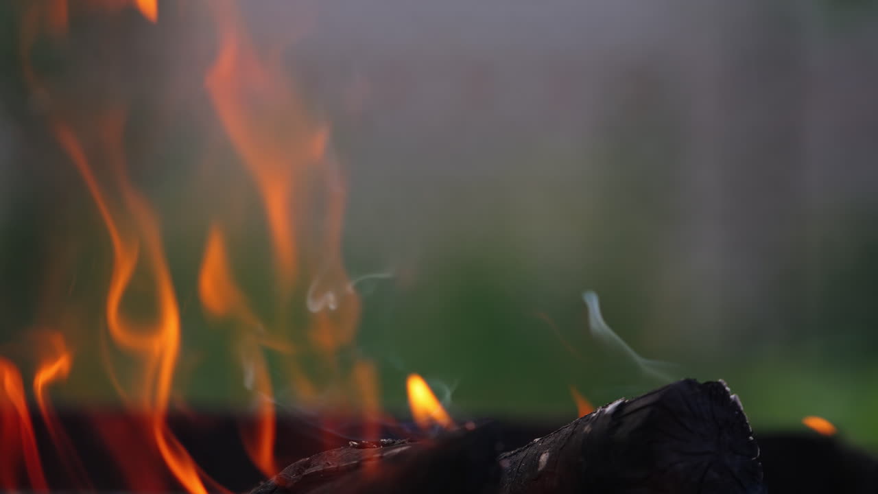 Wooden logs burning in fireplace. Close up view of outdoor fire burning