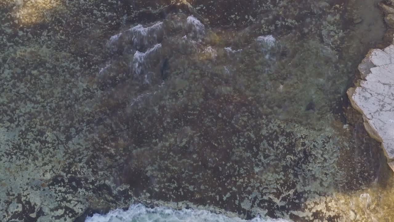 Salmon swimming upstream in clear shallow water with rocky shoreline, aerial view