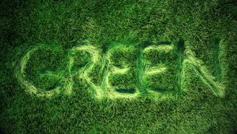 3d-animation-imprint-of-the-word-"green"-on-a-topview-of-a-green-grass-field,-blades-of-grass-subtle-waving-in-the-wind-and-air,-motion-graphics-letters-get-minted-on-the-grass