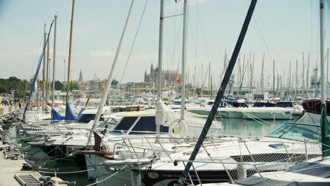 slow motion footage port in palma de mallorca with yachts and sailing boats at a sunny day