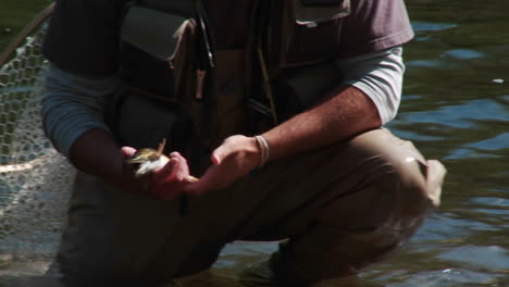 a fisherman practices catch and release