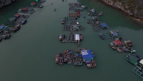 drone-shot-with-aerials-of-a-floating-fishing-village-and-farm-in-Cat-Ba-and-Halong-Bay-in-Northern-Vietnam