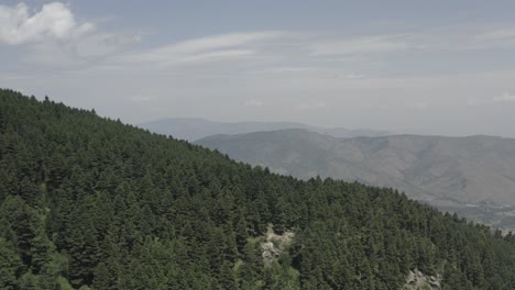 flying over serbia in the forest, eastern europe