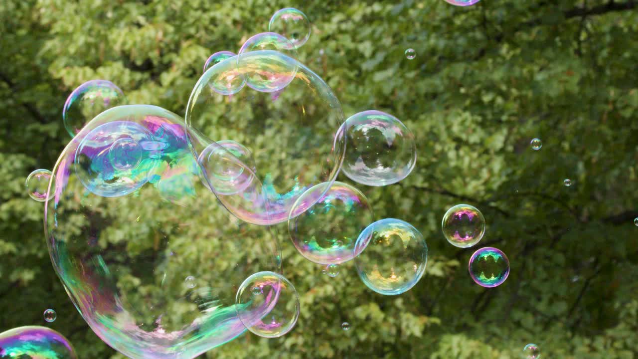 Large colorful soap bubbles drift through lush green foliage in a sunlit outdoor park setting