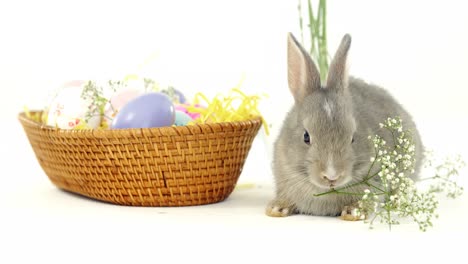 huevos de pascua en canasta de mimbre y conejo de pascua