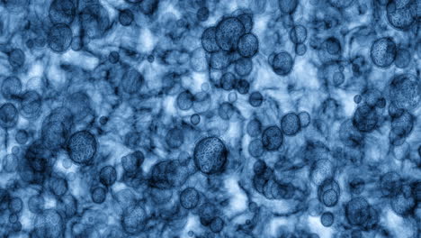 Partículas-De-Bacterias,-Microscopio