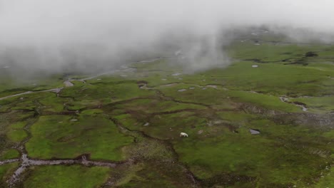 A-drone-view-of-the-Baboon-valley-located-in-Kashmir