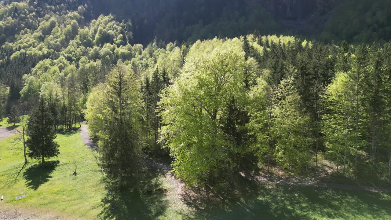 Orillas arenosas junto a un arroyo, con árboles y colinas al fondo.