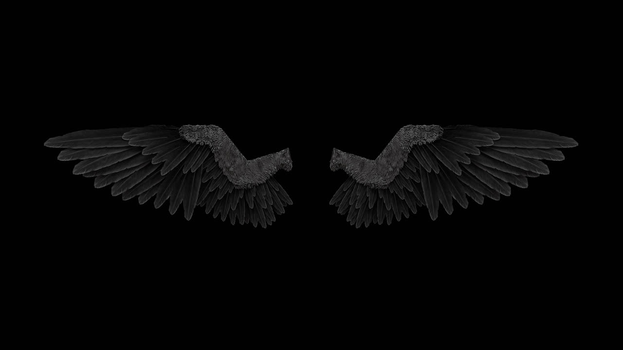 Pair of Dark Angel Wings