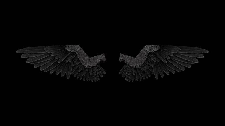 Pair of Dark Angel Wings