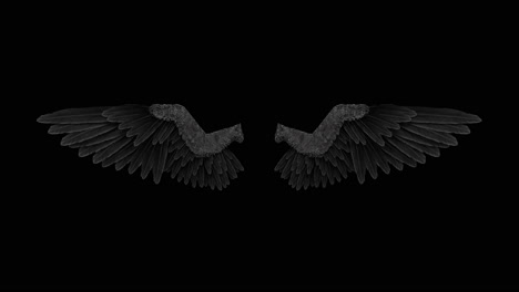 pair of dark angel wings