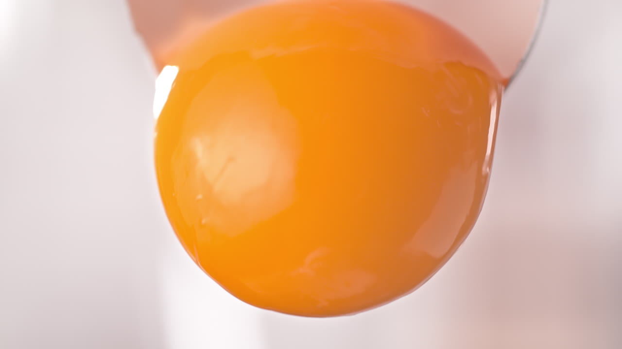 분리 된 계란 노른자가 매크로 및 느린 동작으로 어진 데기에서 부드럽게 미끄러집니다.