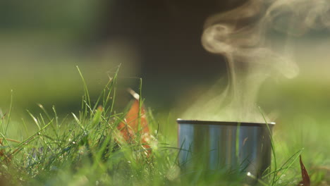 thermos mug hot tea colling standing grass closeup. sunbeams shine on steam.