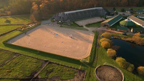 Group-of-thoroughbred-horses-walking-and-grazing-in-paddock-near-stable