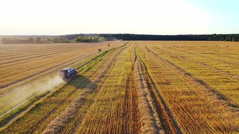 Car is moving on the field in summer day. Automobile drives on the road inside the golden field with dried hay bales. Aerial view.
