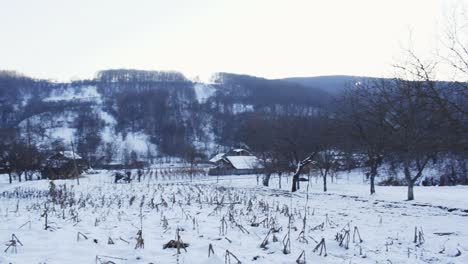 rural landscape with big area covered with snow