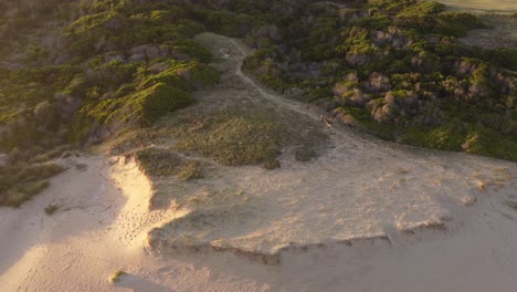 Man-walking-on-beach-dunes-at-sunset-with-dogs,-La-Pedrera-in-Uruguay