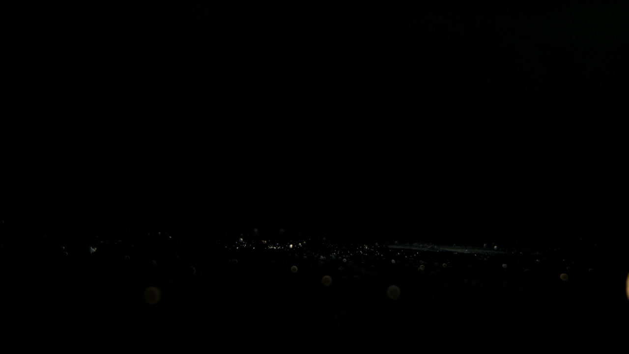 검은 바탕에 피스타치오를  ⁇ 는 사람 4k