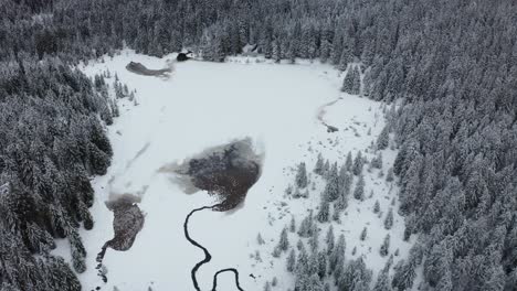 Frozen-lake-in-winter,-woods-covered-in-fresch-snow,-aerial-view,-Crno-jezero,-Black-lake,-Pohorje,-Slovenia