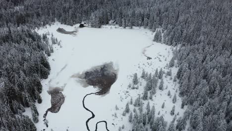 lago congelado en invierno, bosques cubiertos de nieve fresca, vista aérea, crno jezero, lago negro, pohorje, eslovenia