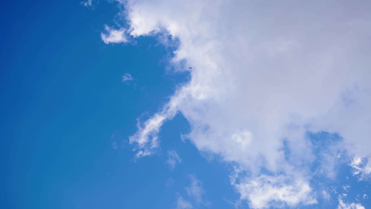 Cielo blu con nuvole bianche e uccelli in volo.