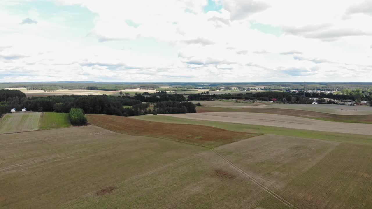 Buckwheat field seen from high-altitude drone flying backwards above the crop fields