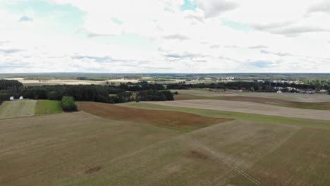 Campo-De-Trigo-Sarraceno-Visto-Desde-Un-Dron-A-Gran-Altitud-Volando-Hacia-Atrás-Sobre-Los-Campos-De-Cultivo