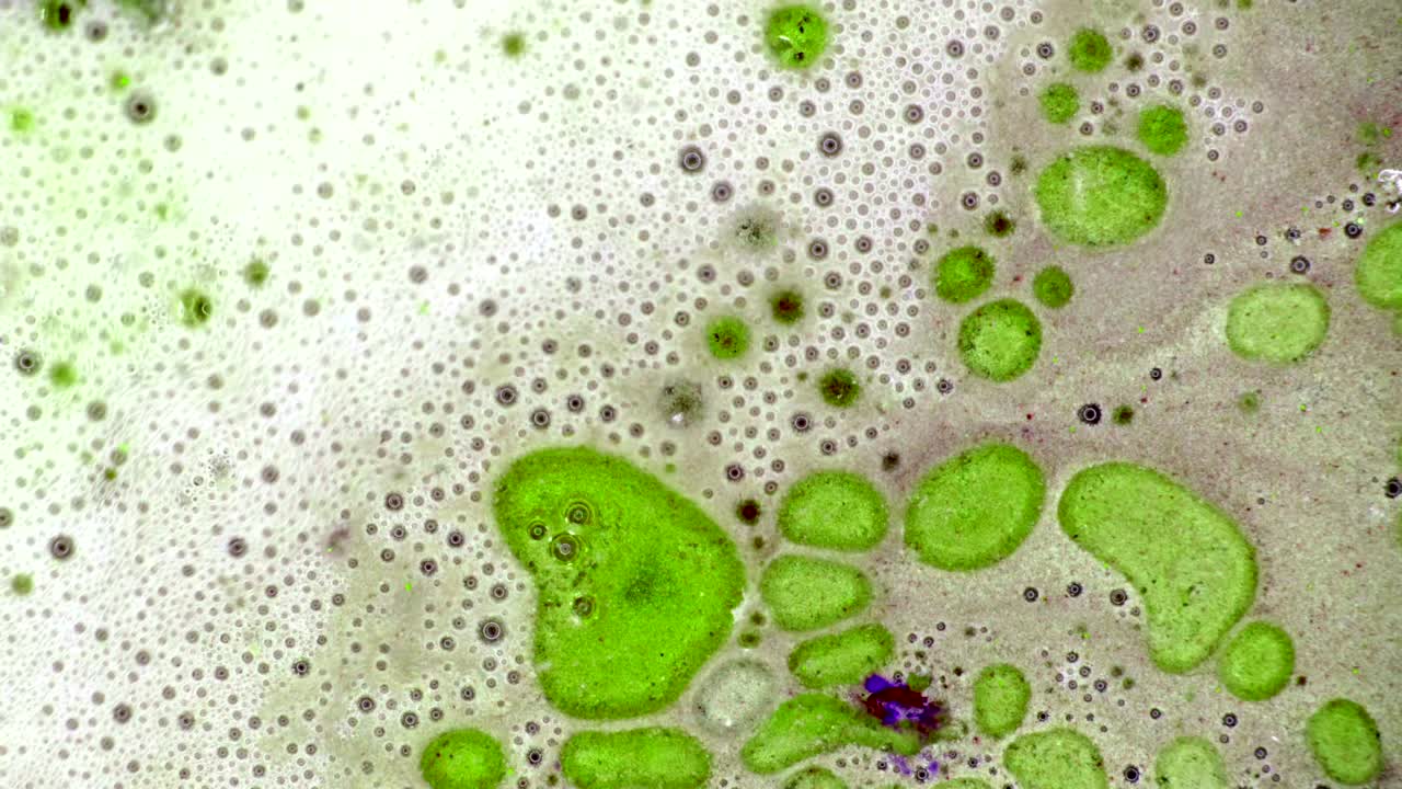 el rizado de las pinturas