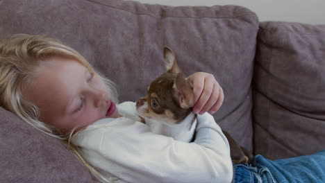 girl playing with her cute chihuahua puppy on the couch