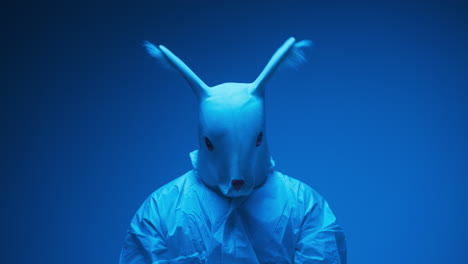Person Wearing Rabbit Mask in Blue Light