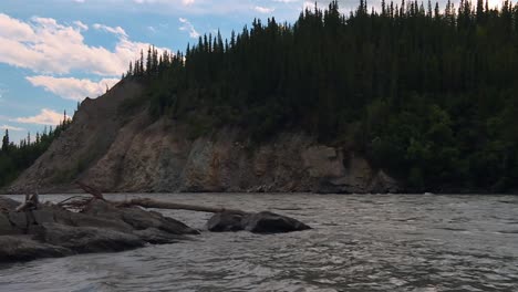 static shot of mountain riverbank in denali national park. water flows downstream amid rocks and tree trunks. alaska, usa
