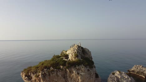 seagulls sit perched atop the famous landmark of aphrodite's rock in cyprus.