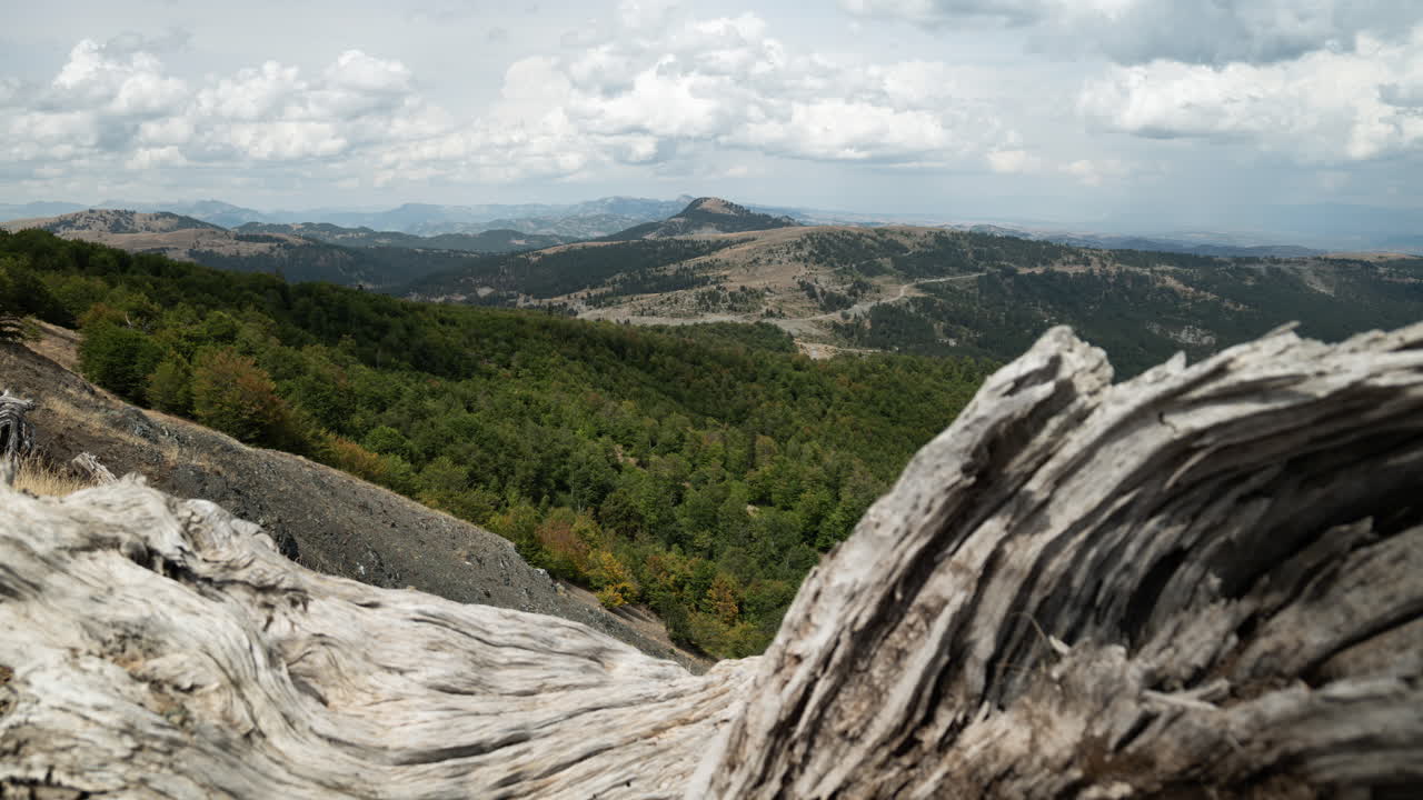 Panoramic Mountain Landscape with Weathered Tree Trunk in Foreground