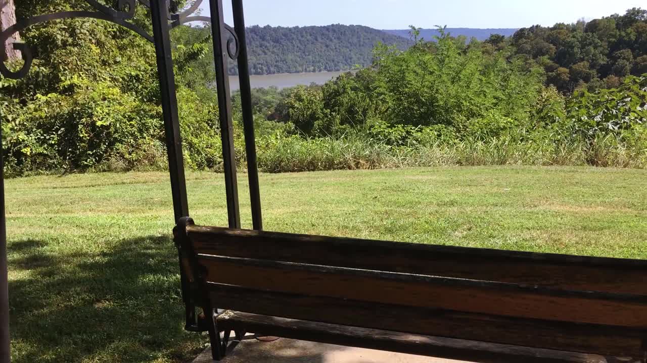 아름다운 자연 속에서 움직이는 나무 그네 | 강과 숲의 전망 [슬로우 모션