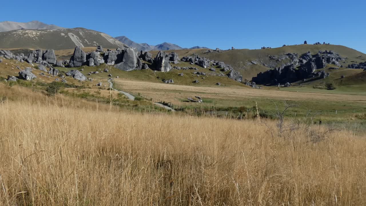 amplia vista desde la hierba dorada de verano de asombrosas formaciones rocosas de piedra caliza en el área de conservación de castle hill, nueva zelanda