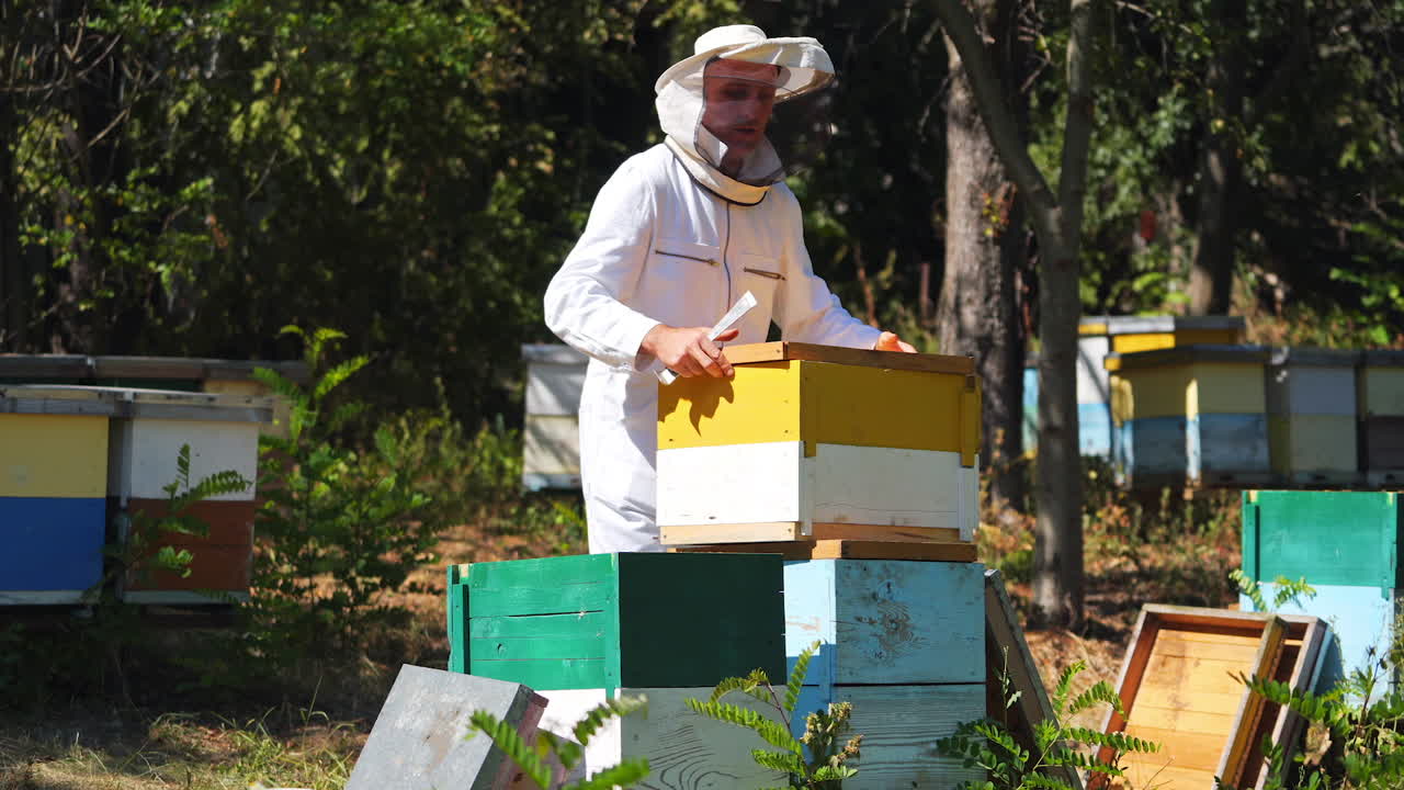L'apicoltore sta lavorando con api e alveari sull'apiario. Cornici di un alveare