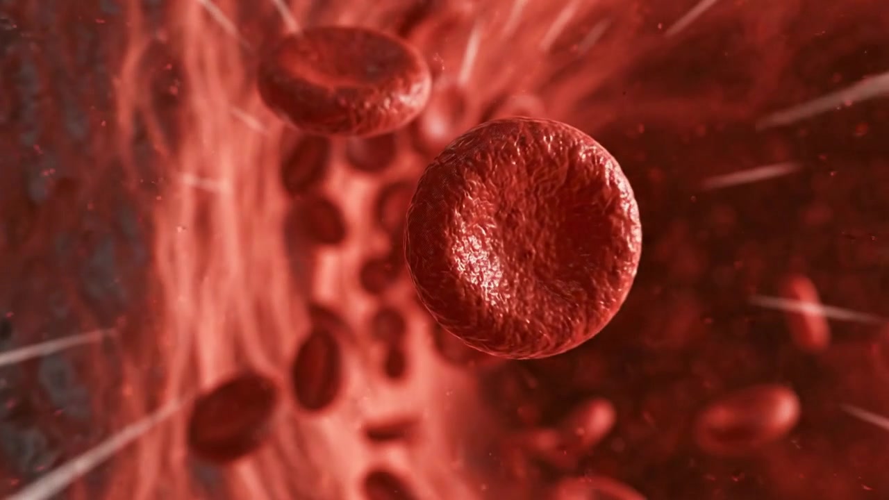 Red blood cells moving through a detailed microscopic bloodstream in detailed scientific footage