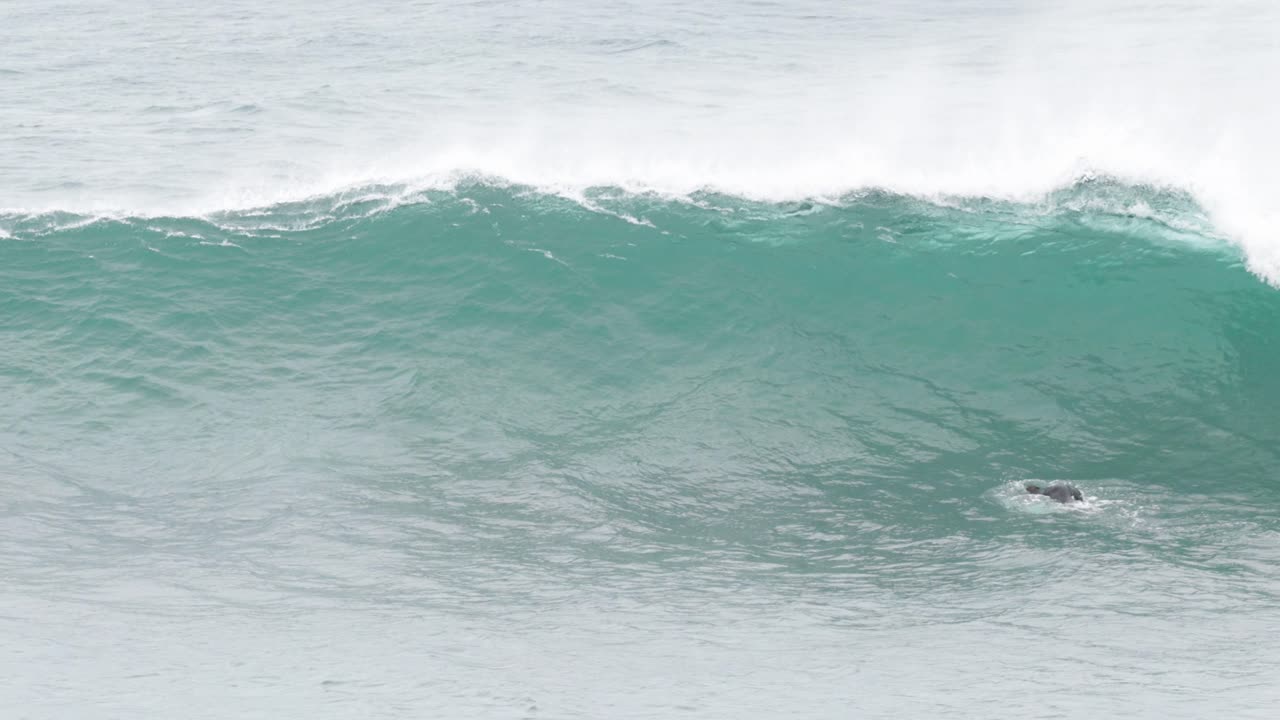 surfista remando y montando olas en el océano