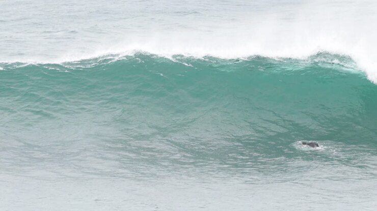 Surfer paddling and riding waves in the ocean
