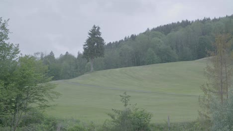 Weitwinkelaufnahme-Eines-Weißen-Lastwagens,-Der-An-Einem-Bewölkten-Tag-Durch-Eine-Leere-Grüne-Landschaft-Mit-Hügeln-Und-Bäumen-Fährt,-In-Einer-Stabilen-Kameraeinstellung,-Alles-Im-Fokus