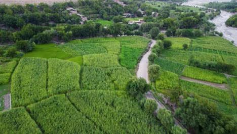 a lush valley in hesarak district