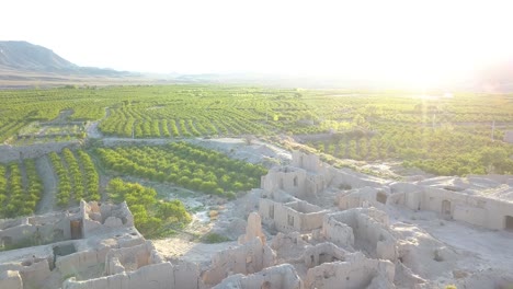 a very old village with barberry garden in iran