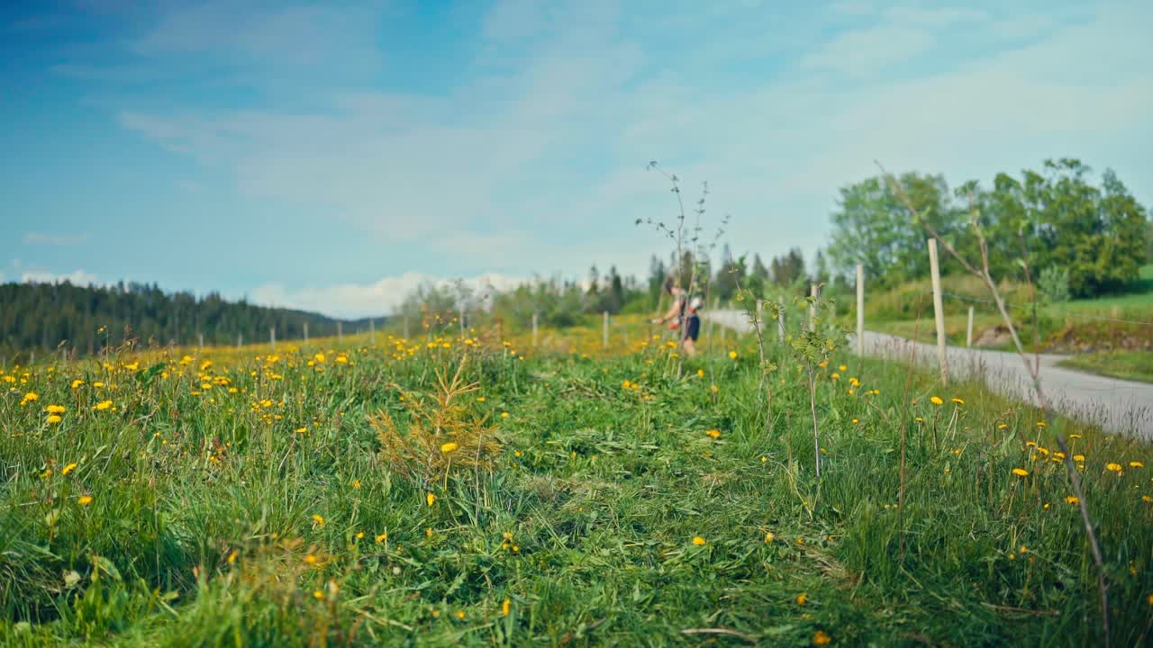 A Man Trims Overgrown Grass Along a Countryside Path on a Sunny Day - Timelapse