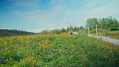 a man trims overgrown grass along a countryside path on a sunny day - timelapse