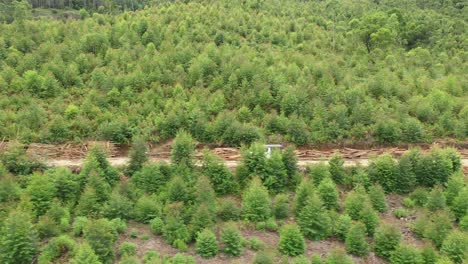 an aerial shot of a jeep in a forest