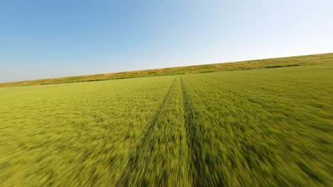 FPV-drone-shot-flying-over-agricultural-land-at-high-speed,-revealing-beautiful,-endless-green-wetlands-under-a-clear-blue-sky