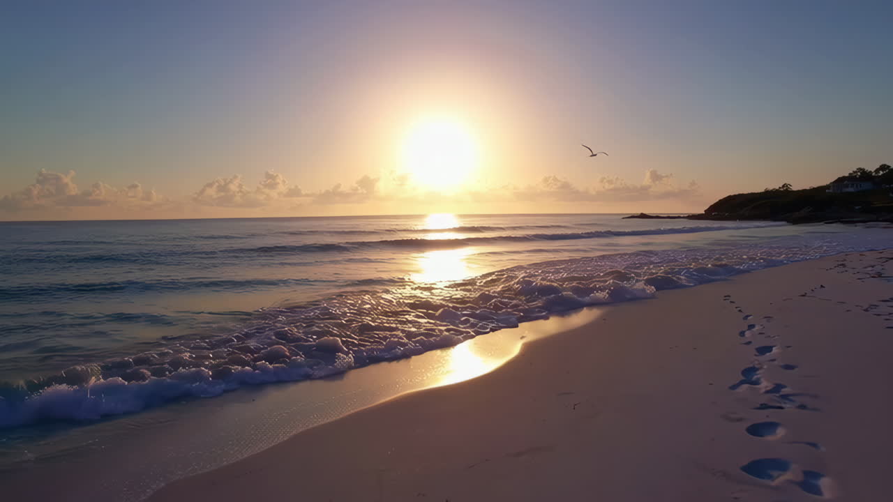 Amanhecer Tranquilo na Praia com Pássaros e Pegadas