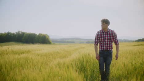 man walking through a wheat field