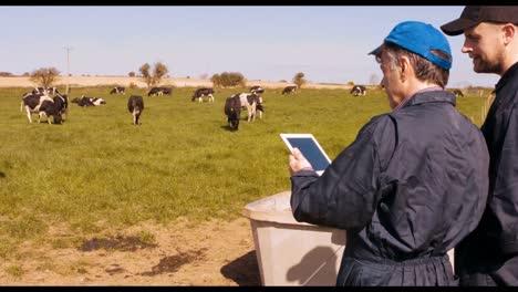 two cattle farmers interacting with each other while using digital tablet