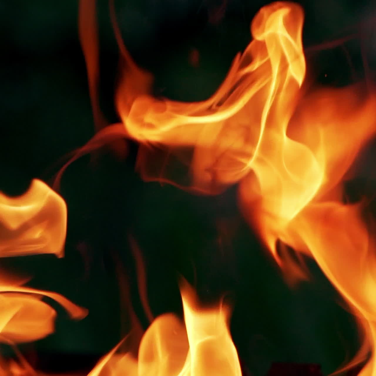 Dancing of beautiful orange flame at night. Close-up. Bright flame of fire on the dark background.